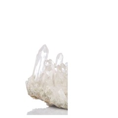 ʜᴏʟᴏʙᴏᴅʏ