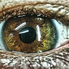 Phobophile86