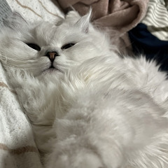 砂糖水の蛍光灯