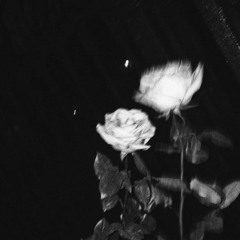 sunder. ✧