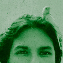moozi