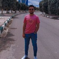 Mahmoud N Karsoua