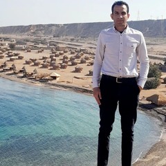 Ahmed Adel