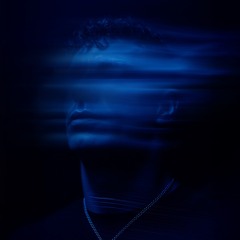 Zoom.Like