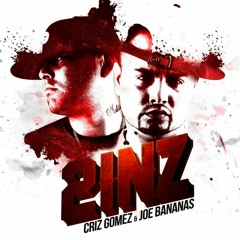 2inz Chile