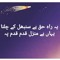 shaista Tariq