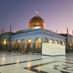 hasan syed