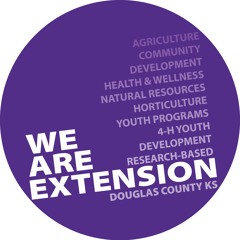 Let's Talk Fair! 4-Hers and the Douglas County Fair - Beyond Ready