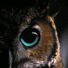 dark.owl