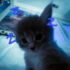 💙🩵willow duh🩵💙