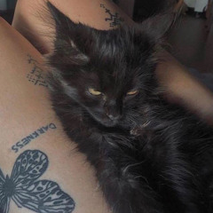 meow