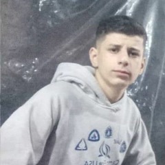 amir