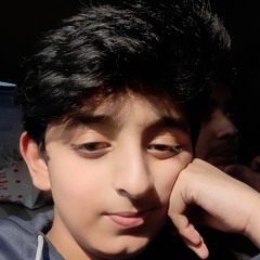 Talha Mahmood