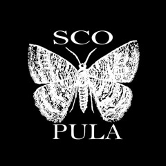 Scopula Music