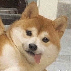 MHW Iceborne - Fatalis Theme