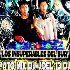 los insuperables del sur pato mix y el joel 13 dj chichas  -LOS CHAMOS del amor  -