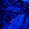 Audio_Jungle