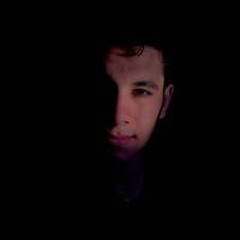 Ahmed Samir Owis Emara