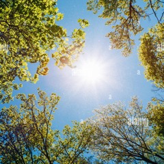 sunnyoutside