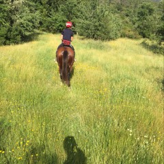matiasnatuche