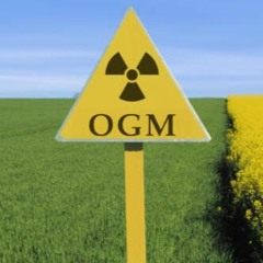 OGM