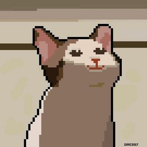 Pixel Pop Cat’s avatar