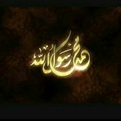 هويدا عبد السلام