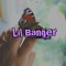LilBanger