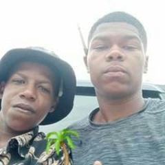 Trem Bala