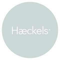 Hæckels