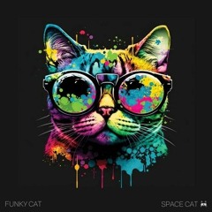 dj funkybunch