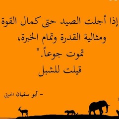 Mahmoud amin