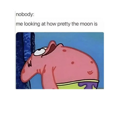 ihaveabigpeniswannaseeit?