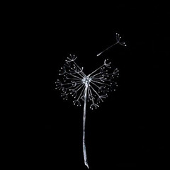 Nutella  𓆩❤𓆪