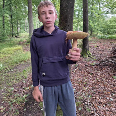 OGbachor