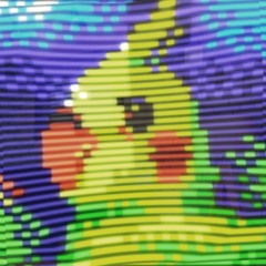 Takawo