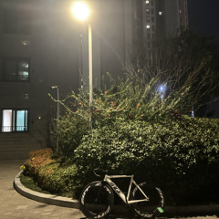 마돈주인장