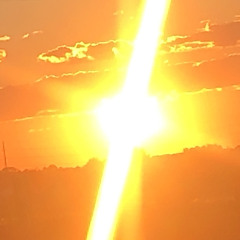 MittensGCTM