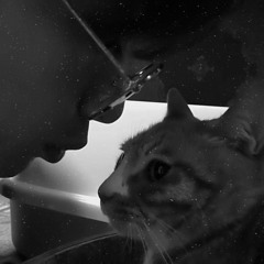 렌🐈‍⬛