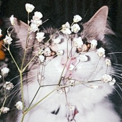 Sam Ann_21