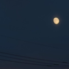 ()