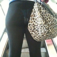 людвиг ван тейк