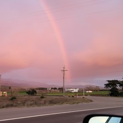 eating_floor_peanuts
