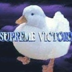 DuckGoBrrrrrrrrr
