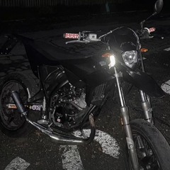 LS08