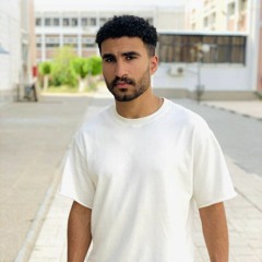 Youssef Mohsen