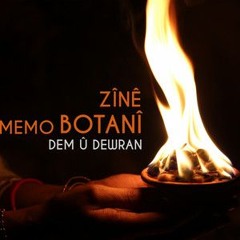 Zînê Botanî