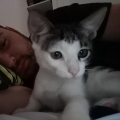 Stefano