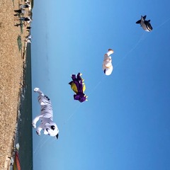 Geoff Kite