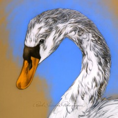 Rāvel Śāśwata Pētershāgen Ⓥ